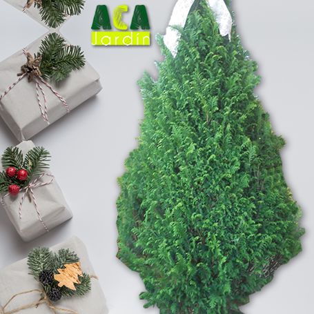Arbol navidad chima