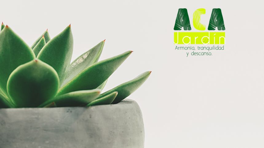 Aca Jardin portada