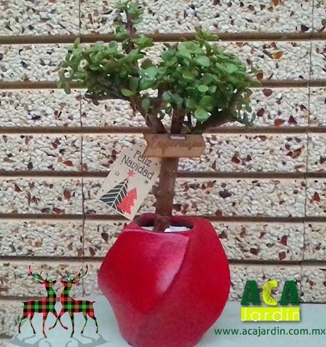 Arbol de la abundancia navidad