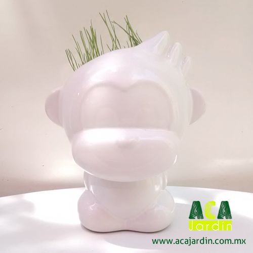 Plantas ornamento pasto sombra chango